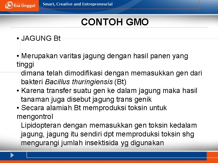 CONTOH GMO • JAGUNG Bt • Merupakan varitas jagung dengan hasil panen yang tinggi