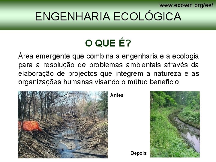 www. ecowin. org/ee/ ENGENHARIA ECOLÓGICA O QUE É? Área emergente que combina a engenharia www. ecowin. org/ee/ ENGENHARIA ECOLÓGICA O QUE É? Área emergente que combina a engenharia