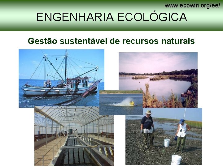 www. ecowin. org/ee/ ENGENHARIA ECOLÓGICA Gestão sustentável de recursos naturais www. ecowin. org/ee/ ENGENHARIA ECOLÓGICA Gestão sustentável de recursos naturais