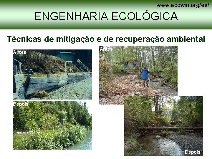 www. ecowin. org/ee/ ENGENHARIA ECOLÓGICA Técnicas de mitigação e de recuperação ambiental Antes Depois www. ecowin. org/ee/ ENGENHARIA ECOLÓGICA Técnicas de mitigação e de recuperação ambiental Antes Depois