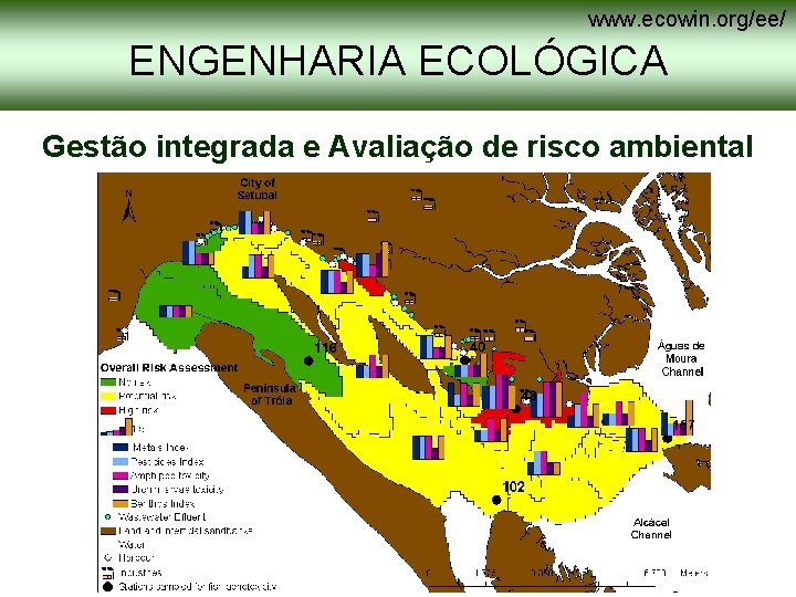www. ecowin. org/ee/ ENGENHARIA ECOLÓGICA Gestão integrada e Avaliação de risco ambiental www. ecowin. org/ee/ ENGENHARIA ECOLÓGICA Gestão integrada e Avaliação de risco ambiental