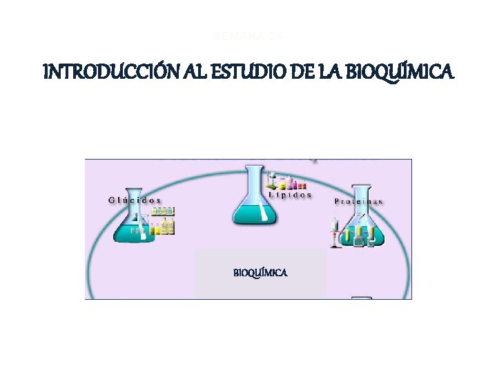 SEMANA 25 INTRODUCCIÓN AL ESTUDIO DE LA BIOQUÍMICA 