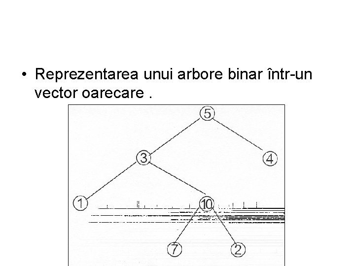  • Reprezentarea unui arbore binar într-un vector oarecare. 