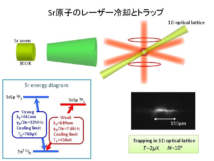 Sr原子のレーザー冷却とトラップ 1 D optical lattice Sr oven 800 K Sr energy diagram 5 s