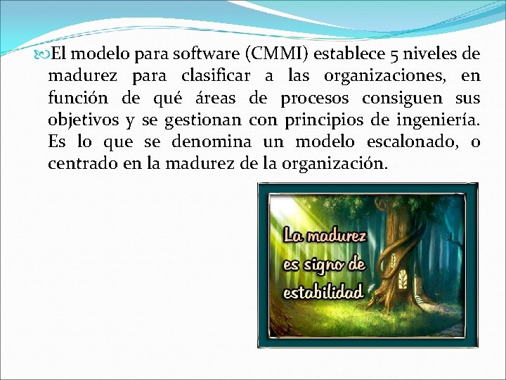  El modelo para software (CMMI) establece 5 niveles de madurez para clasificar a