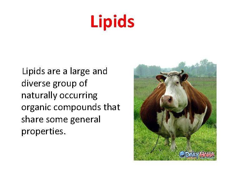 Lipids are a large and diverse group of naturally occurring organic compounds that share