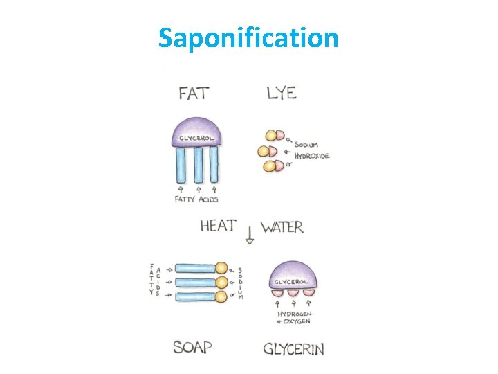 Saponification 