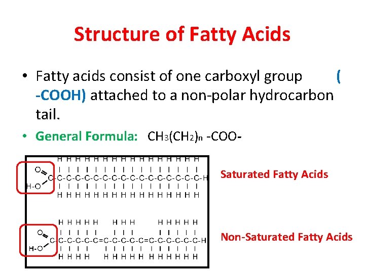 Structure of Fatty Acids • Fatty acids consist of one carboxyl group ( -COOH)