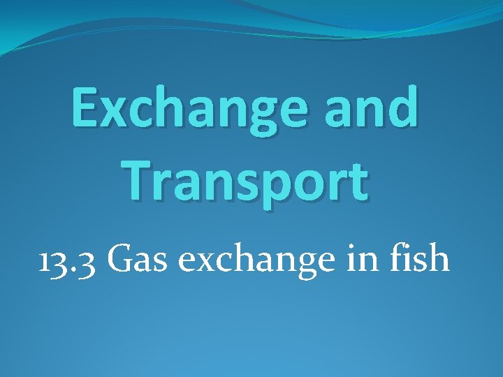 Exchange and Transport 13. 3 Gas exchange in fish Exchange and Transport 13. 3 Gas exchange in fish