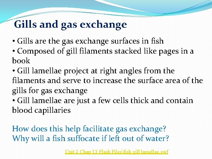 Gills and gas exchange • Gills are the gas exchange surfaces in fish • Gills and gas exchange • Gills are the gas exchange surfaces in fish •
