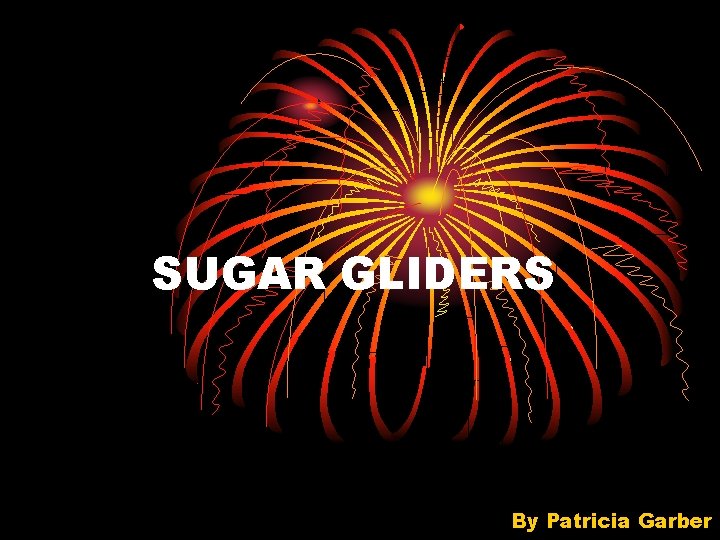 SUGAR GLIDERS By Patricia Garber 