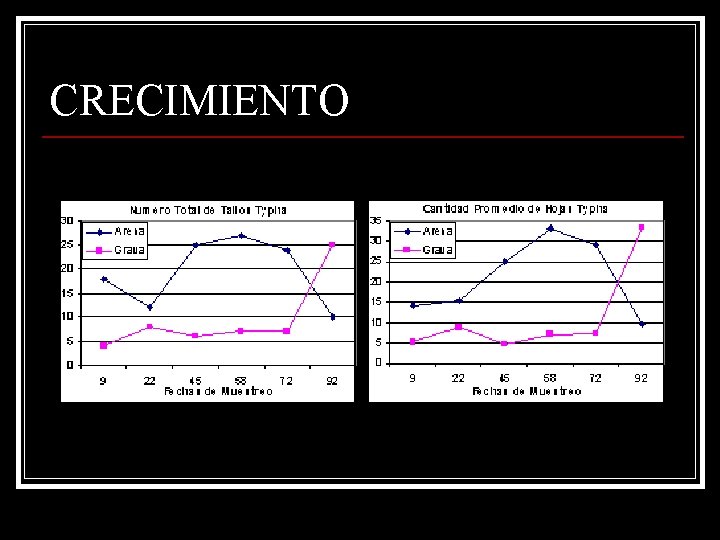 CRECIMIENTO 