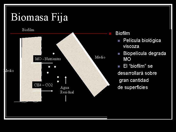 Biomasa Fija Biofilm n MO - Nutrientes Medio CH 4 – CO 2 Agua