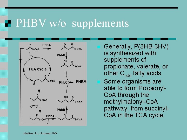PHBV w/o supplements n n Madison LL, Huisman GW. Generally, P(3 HB-3 HV) is PHBV w/o supplements n n Madison LL, Huisman GW. Generally, P(3 HB-3 HV) is
