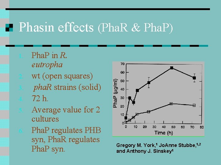 Phasin effects (Pha. R & Pha. P) 1. 2. 3. 4. 5. 6. Pha. Phasin effects (Pha. R & Pha. P) 1. 2. 3. 4. 5. 6. Pha.
