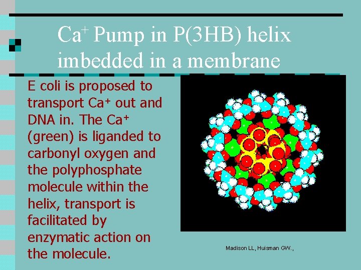 Ca+ Pump in P(3 HB) helix imbedded in a membrane E coli is proposed Ca+ Pump in P(3 HB) helix imbedded in a membrane E coli is proposed