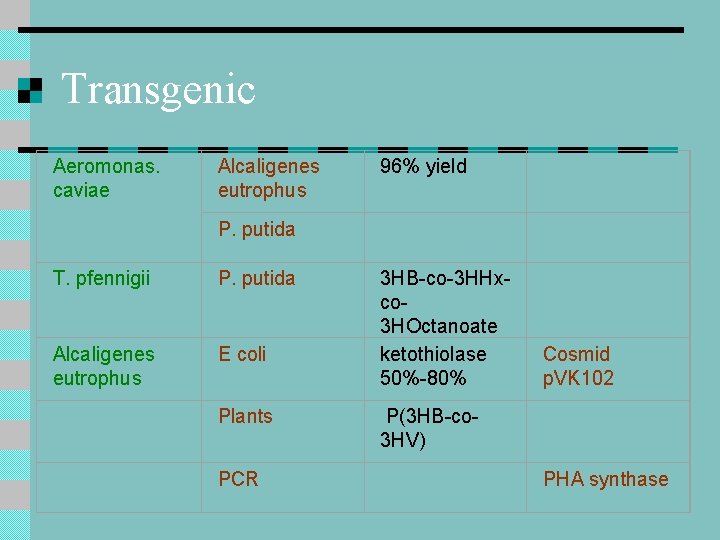 Transgenic Aeromonas. caviae Alcaligenes eutrophus 96% yield P. putida T. pfennigii P. putida Alcaligenes Transgenic Aeromonas. caviae Alcaligenes eutrophus 96% yield P. putida T. pfennigii P. putida Alcaligenes