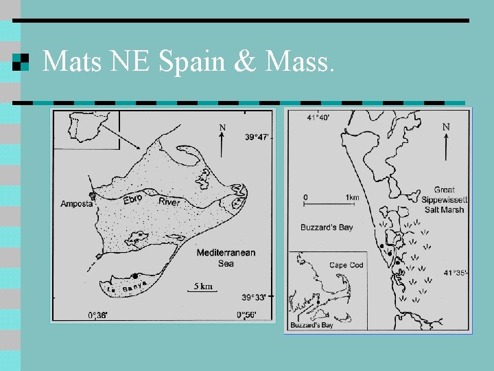 Mats NE Spain & Mass. Mats NE Spain & Mass.