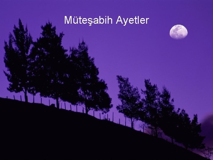 Müteşabih Ayetler 