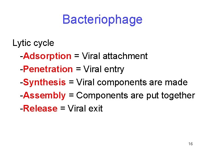 Bacteriophage Lytic cycle -Adsorption = Viral attachment -Penetration = Viral entry -Synthesis = Viral