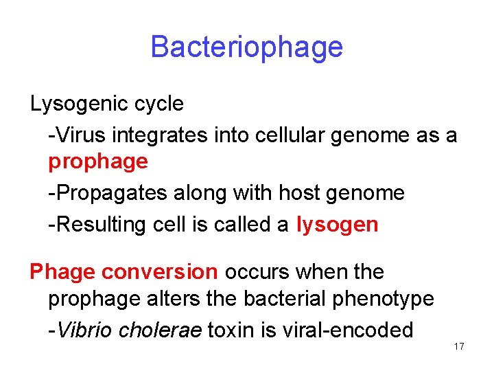 Bacteriophage Lysogenic cycle -Virus integrates into cellular genome as a prophage -Propagates along with