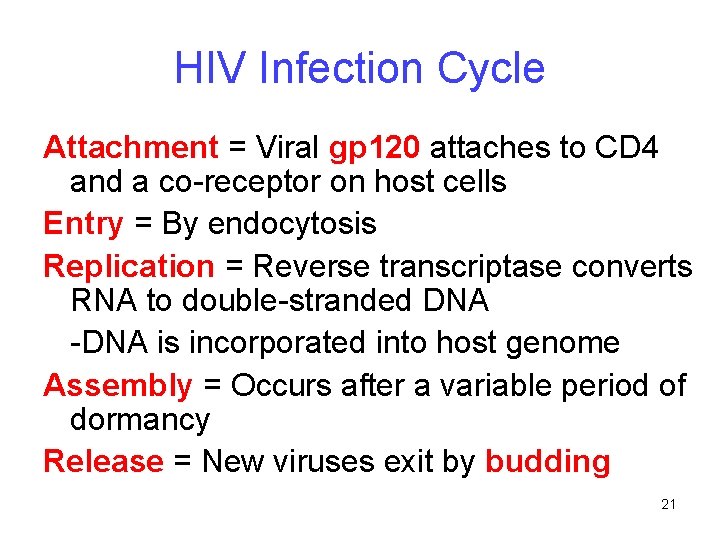 HIV Infection Cycle Attachment = Viral gp 120 attaches to CD 4 and a