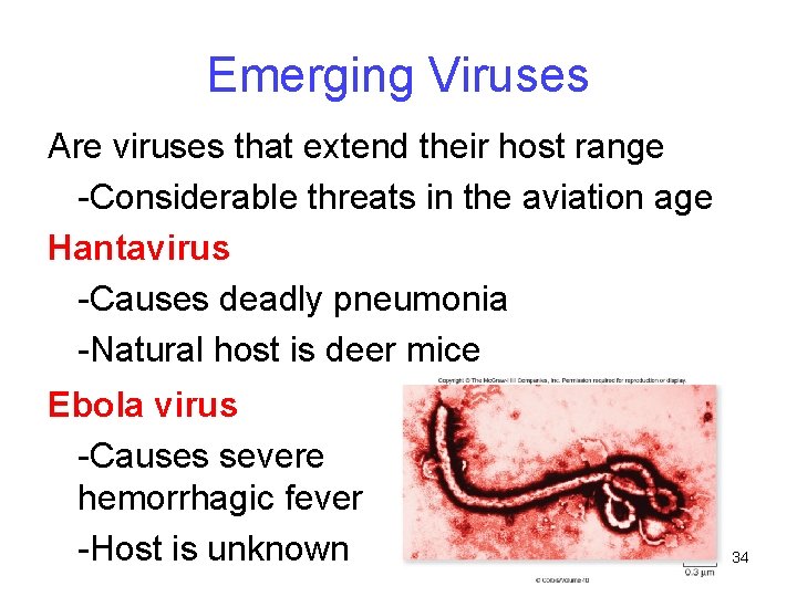 Emerging Viruses Are viruses that extend their host range -Considerable threats in the aviation