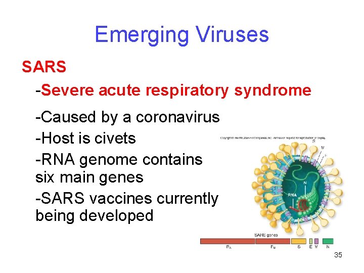 Emerging Viruses SARS -Severe acute respiratory syndrome -Caused by a coronavirus -Host is civets