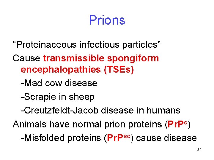 Prions “Proteinaceous infectious particles” Cause transmissible spongiform encephalopathies (TSEs) -Mad cow disease -Scrapie in