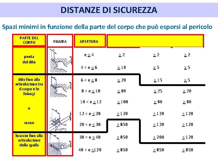 DISTANZE DI SICUREZZA Spazi minimi in funzione della parte del corpo che può esporsi