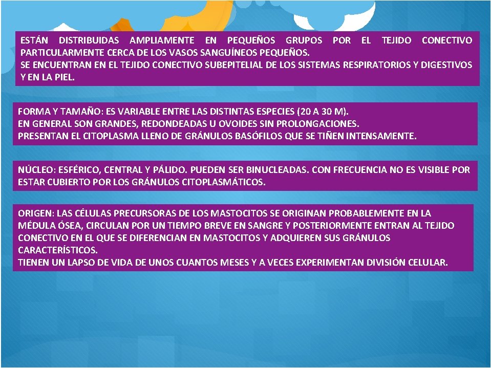 ESTÁN DISTRIBUIDAS AMPLIAMENTE EN PEQUEÑOS GRUPOS POR EL TEJIDO CONECTIVO PARTICULARMENTE CERCA DE LOS