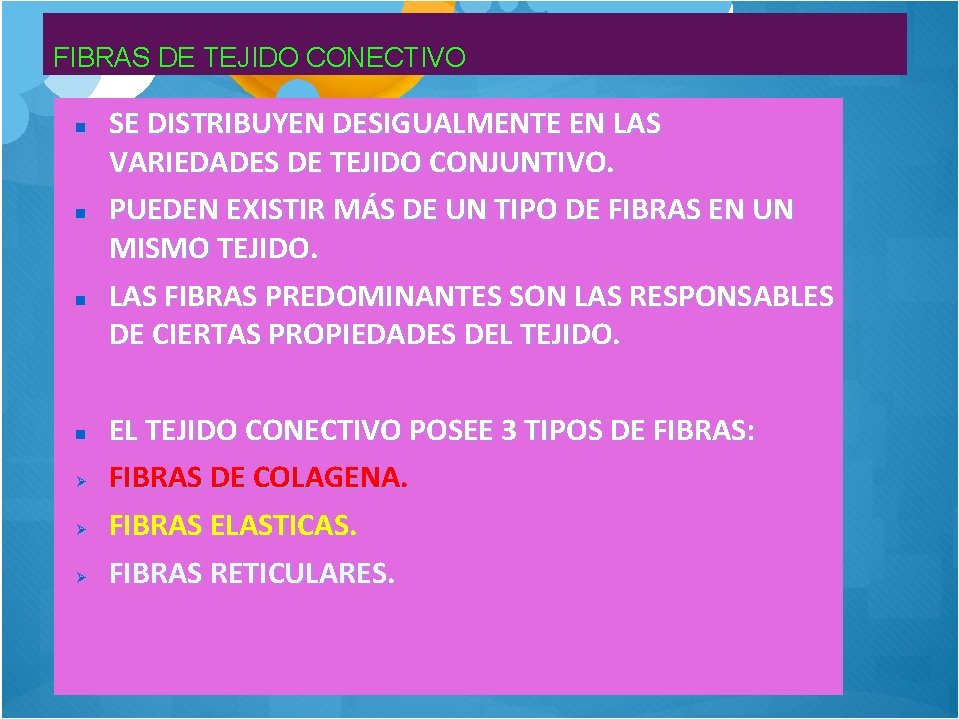 FIBRAS DE TEJIDO CONECTIVO SE DISTRIBUYEN DESIGUALMENTE EN LAS VARIEDADES DE TEJIDO CONJUNTIVO. PUEDEN