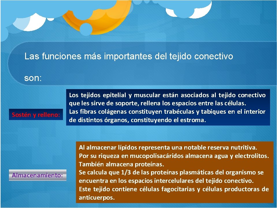 Las funciones más importantes del tejido conectivo son: Sostén y relleno: Almacenamiento: Los tejidos