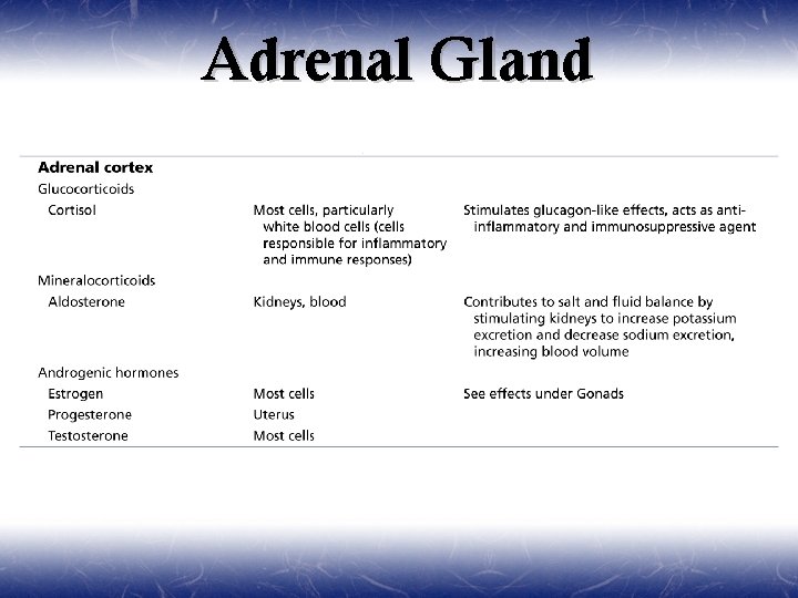 Adrenal Gland 