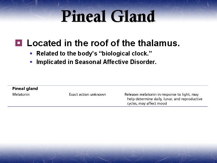 Pineal Gland ¥ Located in the roof of the thalamus. § Related to the