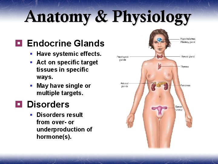 Anatomy & Physiology ¥ Endocrine Glands § Have systemic effects. § Act on specific