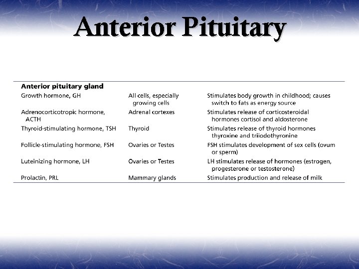 Anterior Pituitary 