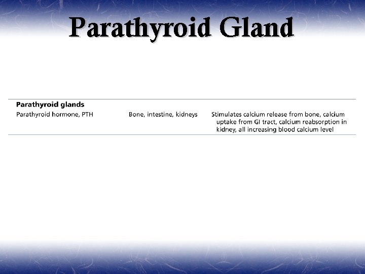 Parathyroid Gland 