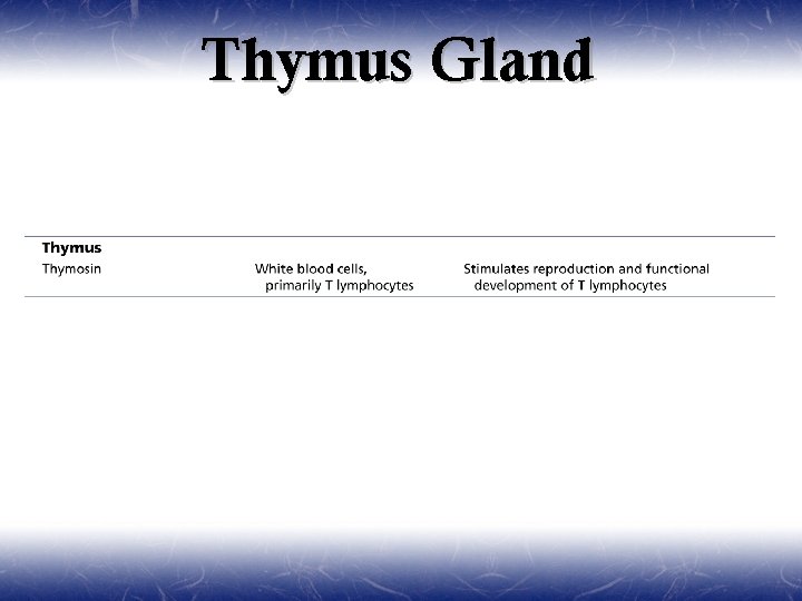 Thymus Gland 