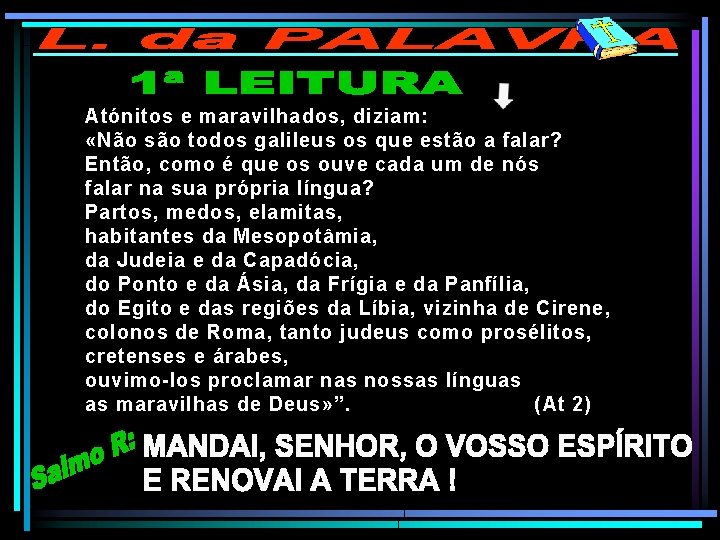 Atónitos e maravilhados, diziam: «Não são todos galileus os que estão a falar? Então,