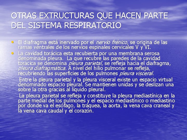 OTRAS EXTRUCTURAS QUE HACEN PARTE DEL SISTEMA RESPIRATORIO • El diafragma está inervado por