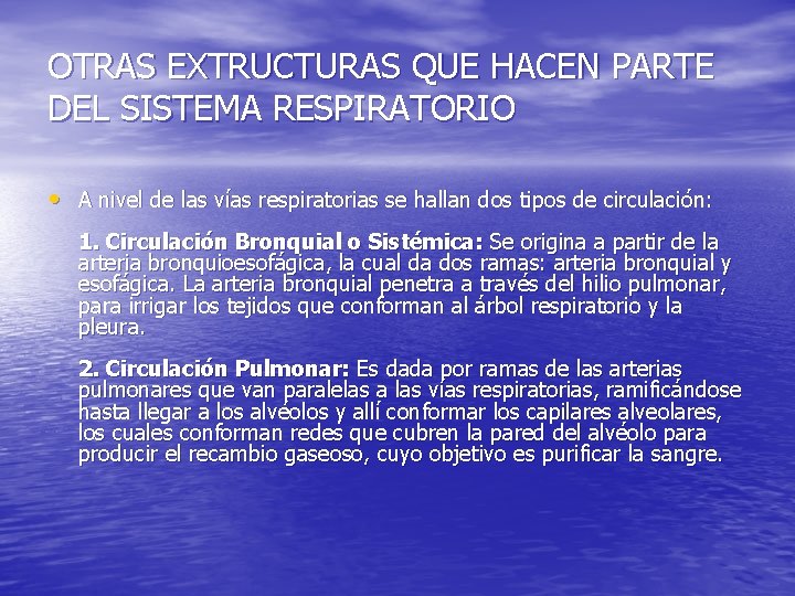 OTRAS EXTRUCTURAS QUE HACEN PARTE DEL SISTEMA RESPIRATORIO • A nivel de las vías