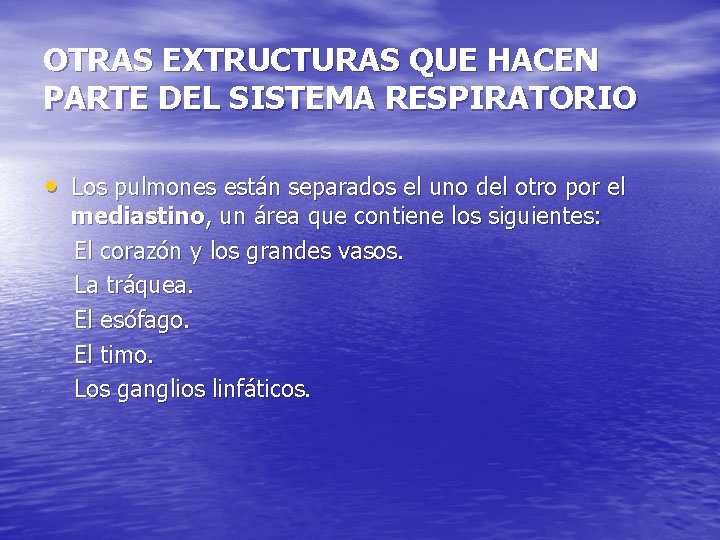 OTRAS EXTRUCTURAS QUE HACEN PARTE DEL SISTEMA RESPIRATORIO • Los pulmones están separados el