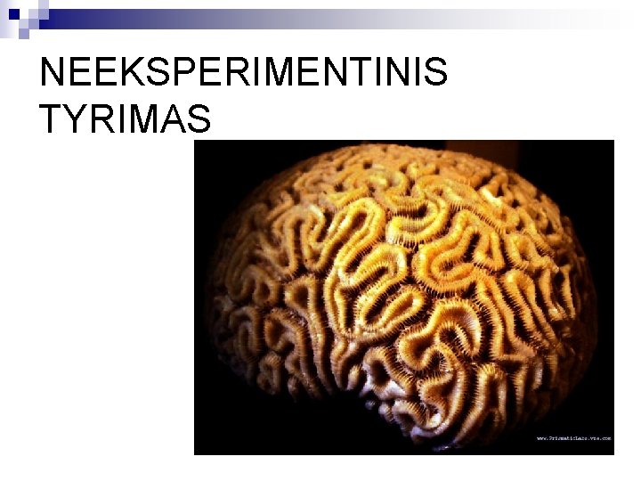 NEEKSPERIMENTINIS TYRIMAS 