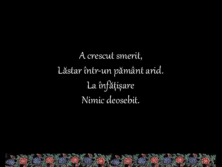 A crescut smerit, Lăstar într-un pământ arid. La înfăţişare Nimic deosebit. 