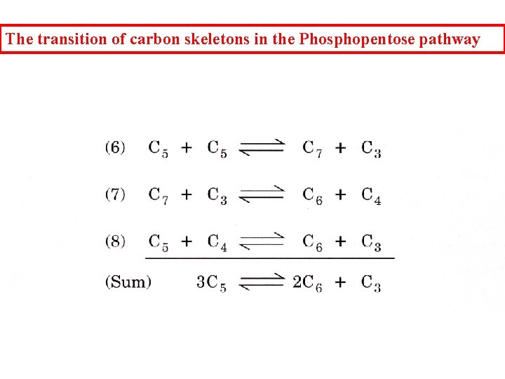 The transition of carbon skeletons in the Phosphopentose pathway The transition of carbon skeletons in the Phosphopentose pathway