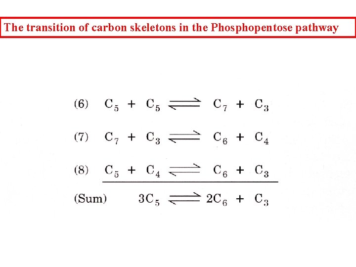 The transition of carbon skeletons in the Phosphopentose pathway 