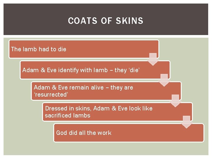 COATS OF SKINS The lamb had to die Adam & Eve identify with lamb