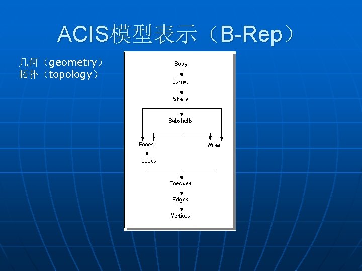 ACIS模型表示（B-Rep） 几何（geometry） 拓扑（topology） 