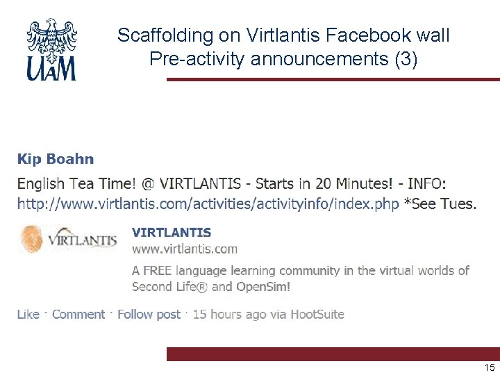 Scaffolding on Virtlantis Facebook wall Pre-activity announcements (3) 15 